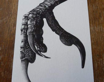 Crow Claw A5 giclee print, black and white illustration, biro drawing, bird claw