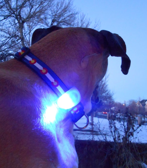 Dog collar harness & leash lights clip on flashing pet