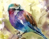 Lilac Bird Watercolor Painting Art Print, Bird Watercolor Art Wall Art Lilac Bird Watercolor Painting Art Print, Bird Watercolor Art Wall Art