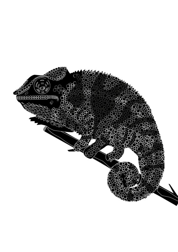 Items similar to Panther Chameleon - illustration by Ailsa Ash ...