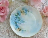 Bavarian Hand Painted Porcelain Decorative Plate, Blue Flowers, Cottage