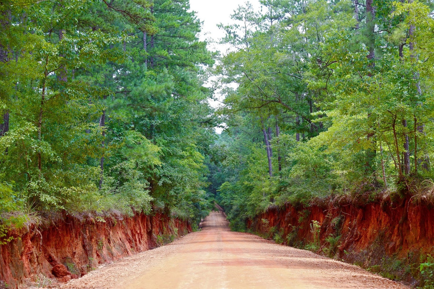 Georgia Red Clay Red Dirt Red Pink Orange Clay by OhDesibelle