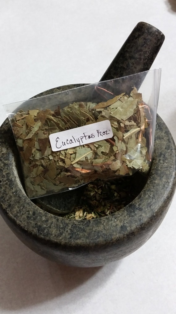 can you've got top again pain with bronchitis