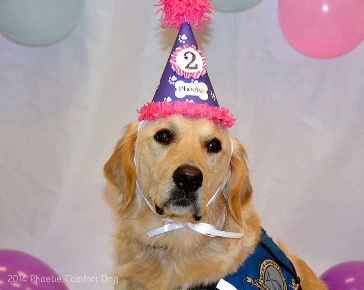 Girl Dog Party Hat Personalized by PartyDecorandMoore on Etsy