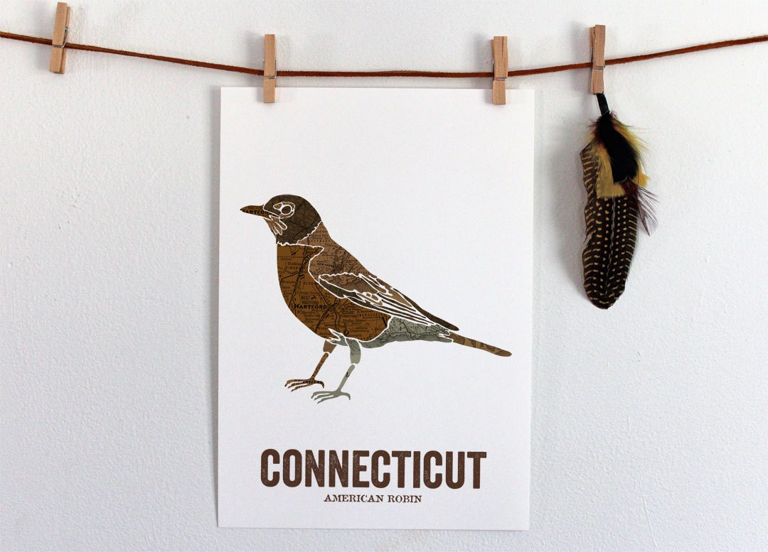 connecticut state bird nature art outdoor art vintage map connecticut state bird nature art outdoor art vintage map