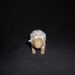 Small Sheep - #62