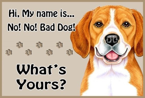 Beagle Hi My Name Is No No Bad Dog What's by NoveltyPetSigns