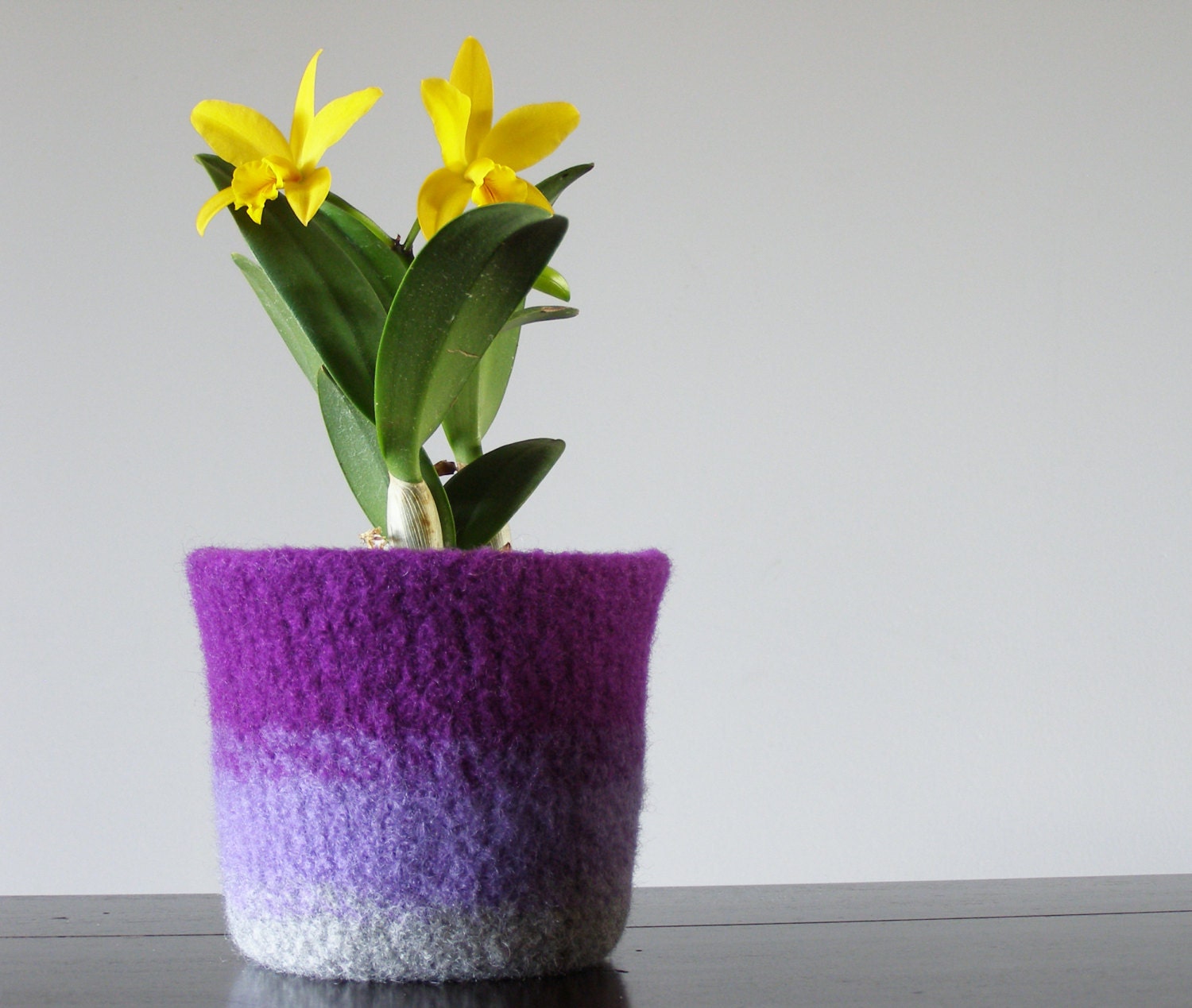 felted wool planter with waterproof lining shades by theFelterie