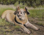 It's a hogs life! Pig Greetings card
