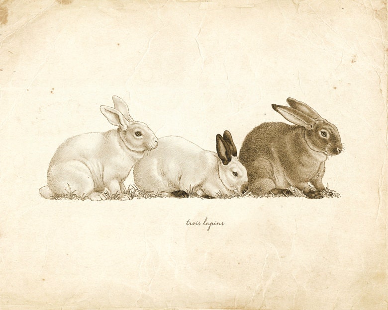 Vintage Rabbits on French Ephemera Print 8x10 P114