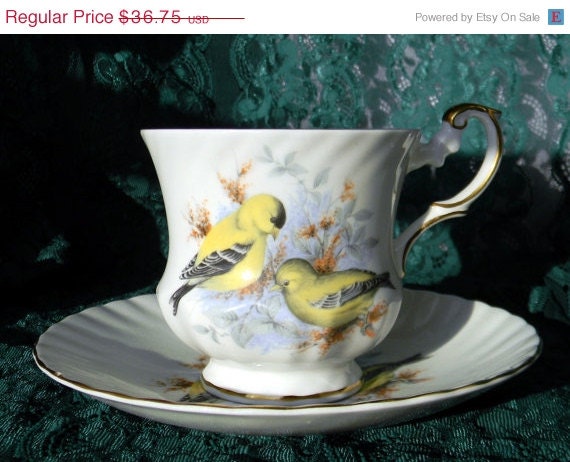 SALE Queens Rosina Tea Cup and Saucer - Birds of America - English Bone China J- by TheVintageTeacup