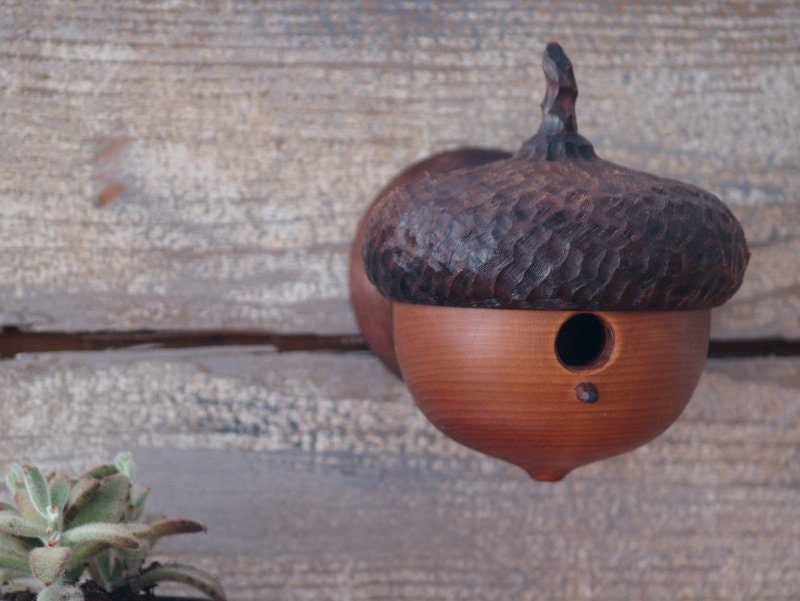 Acorn Birdhouse Rustic Little Birdhouse by CattailsWoodwork