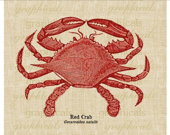 Red crab instant clip art Digital download image Marine decor for iron on Fabric transfer burlap paper decoupage pillow tote tag No. 649