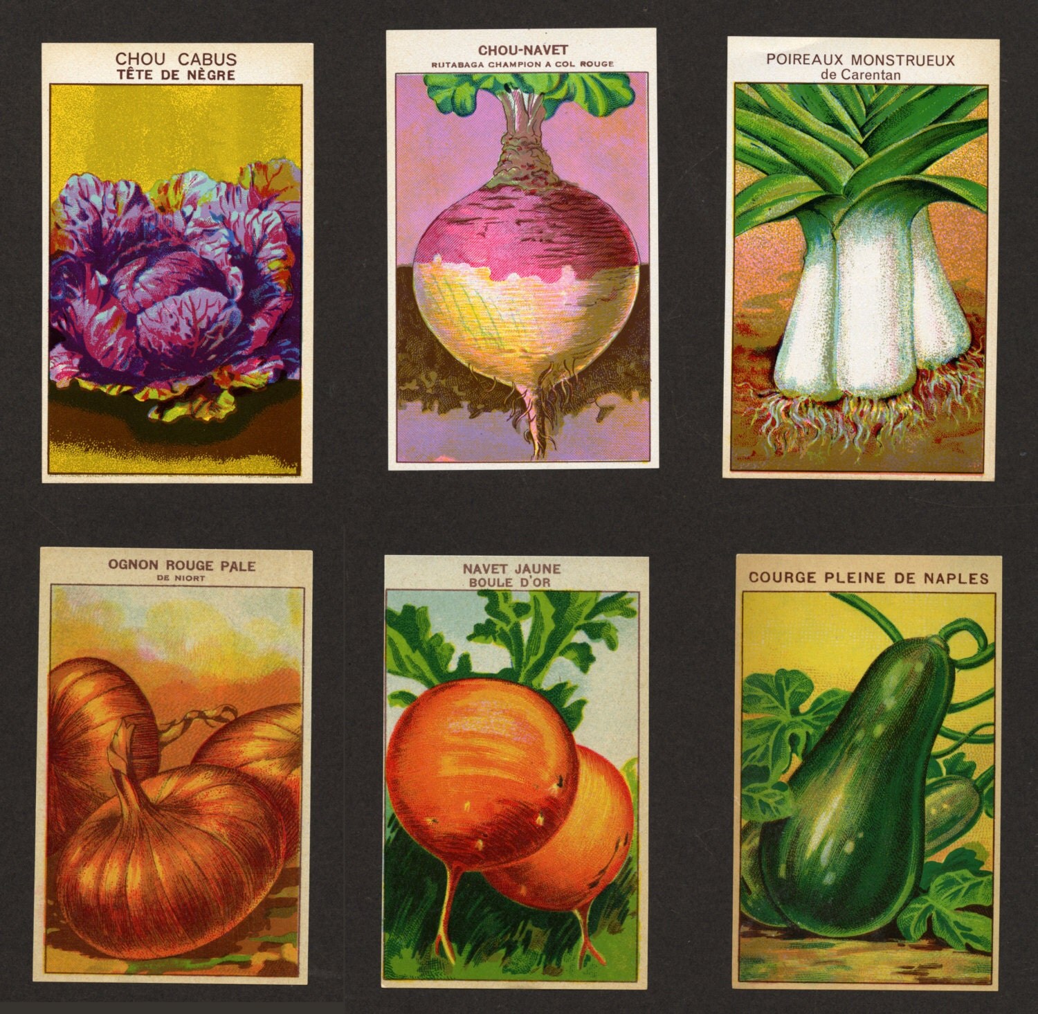 Vintage Vegetable Seed Packet Labels Six by VintageDecorPrints