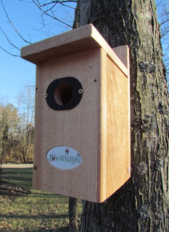 Items similar to JCs Wildlife Cedar Standard Bluebird House w/ Predator