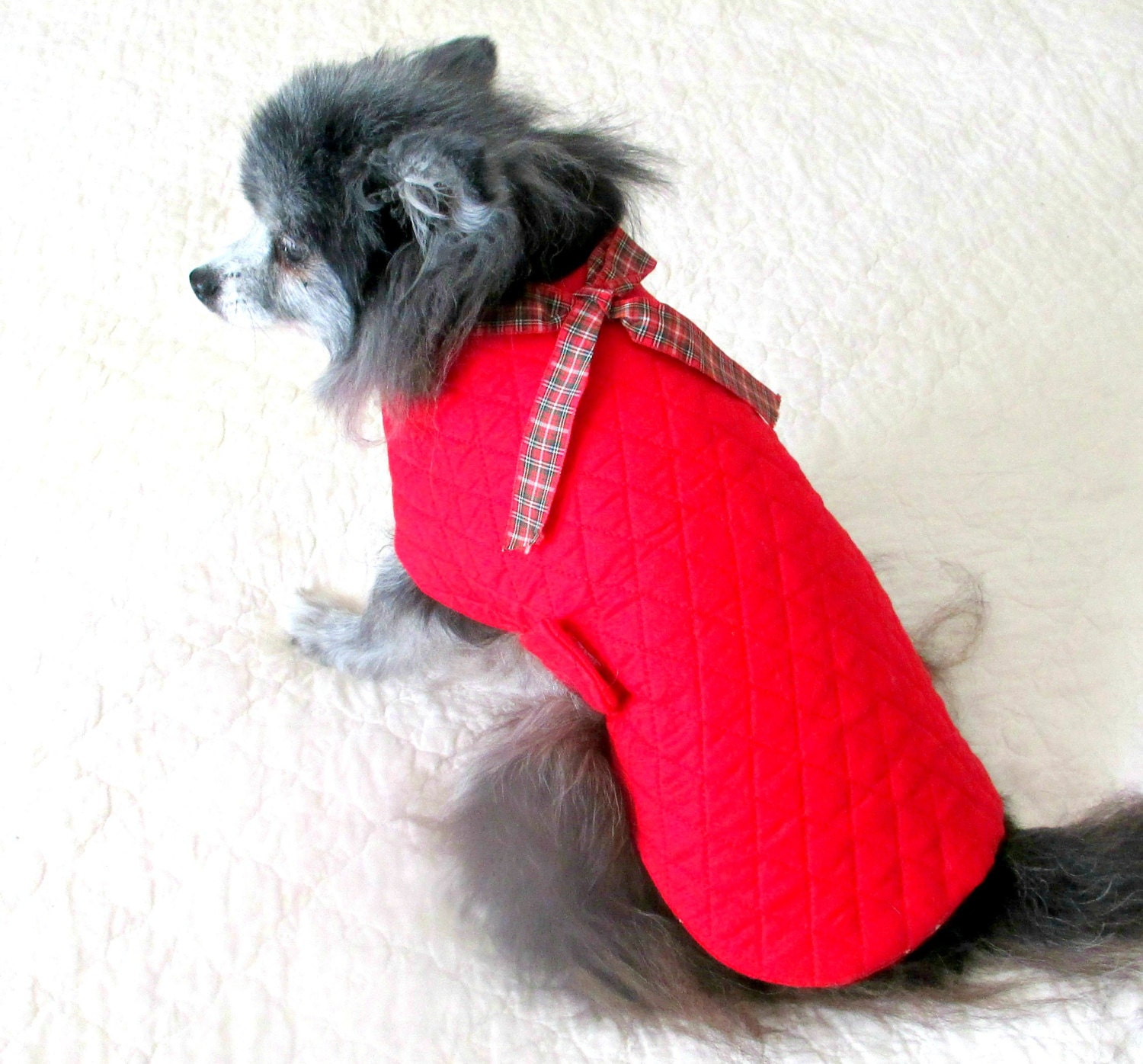 Small Dog Coat Dog Coat Made to Order Dog Toy Dog Coat