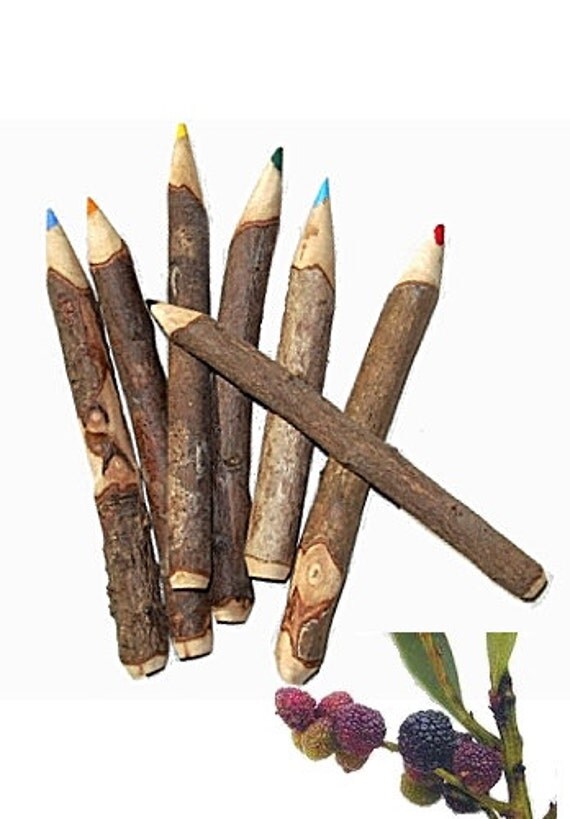 Twig Pencils Hawaiian Faya 1 Bundle of 7 Mixed Colors