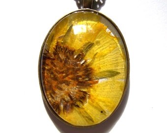 Pressed Flower Yellow Daisy Wildflower Glass Texas Bronze Jewelry Necklace