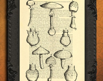 mushroom print champignon print mushroom illustration toadstool in black and white