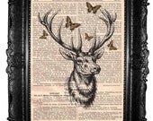ORIGINAL ARTWORK  Deer  Art Print  acrilic hand painting