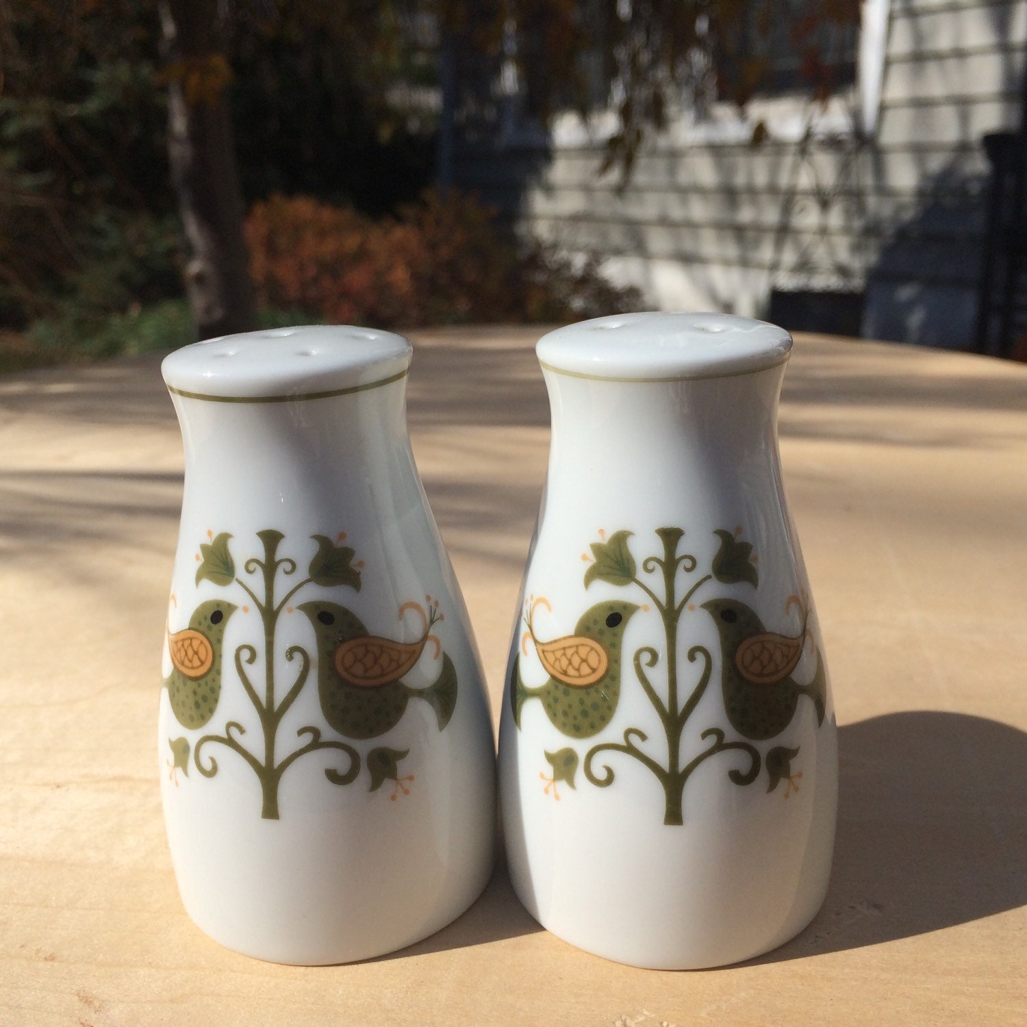Noritake Salt And Pepper Shakers