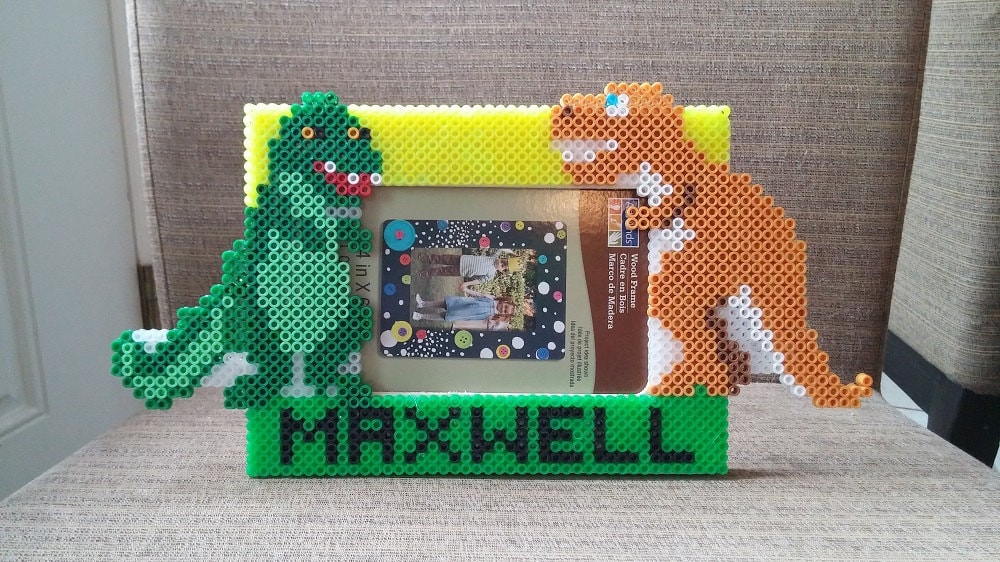 Dinosaurs Picture Frame