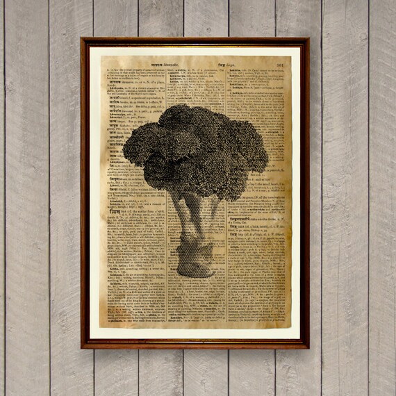 Broccoli poster Kitchen decor Food print Dictionary page WA545
