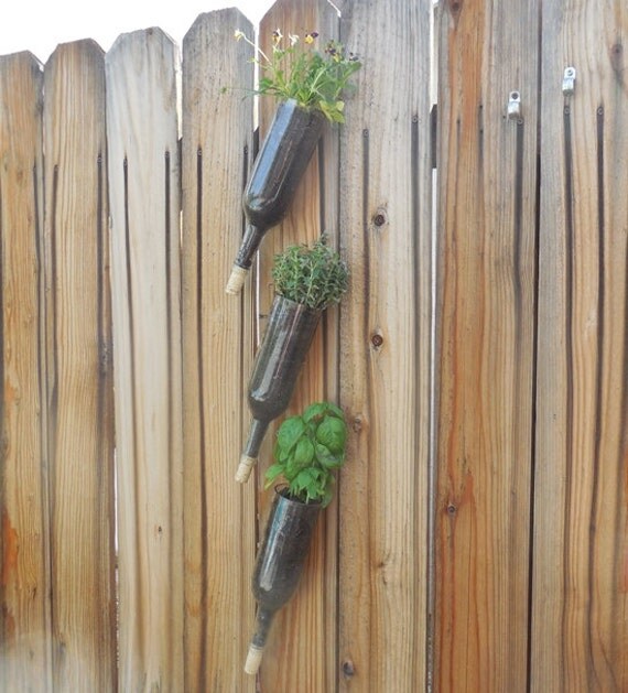 Wine Bottle Planters Set of 2 These Can be Hung by LightedBottle