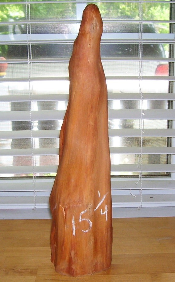 Cypress Knee 15.25 Wood Carve Paint by CarolinaCypressKnees