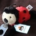 jellycat ladybug