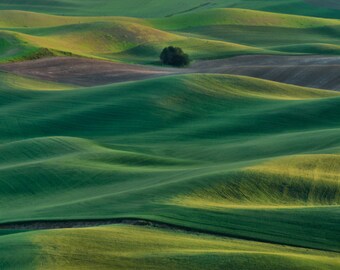 Palouse | Etsy