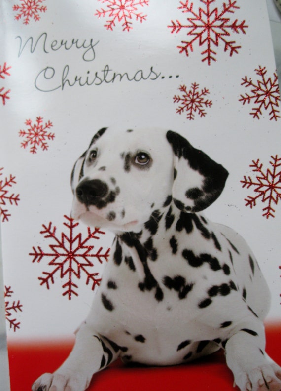 Dalmatian Christmas Cards 