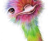 OSTRICH Print from an original watercolour painting by artist Maria Moss Available in 4 sizes. OSTRICH Print from an original watercolour painting by artist Maria Moss Available in 4 sizes.
