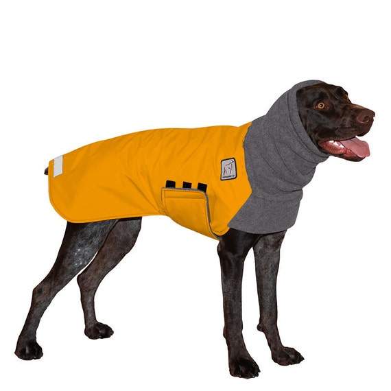 Why We Love Dog Coats For Walking The In Winter Metro Mutts Dog Winter Coat Bubble Lovable Jacket