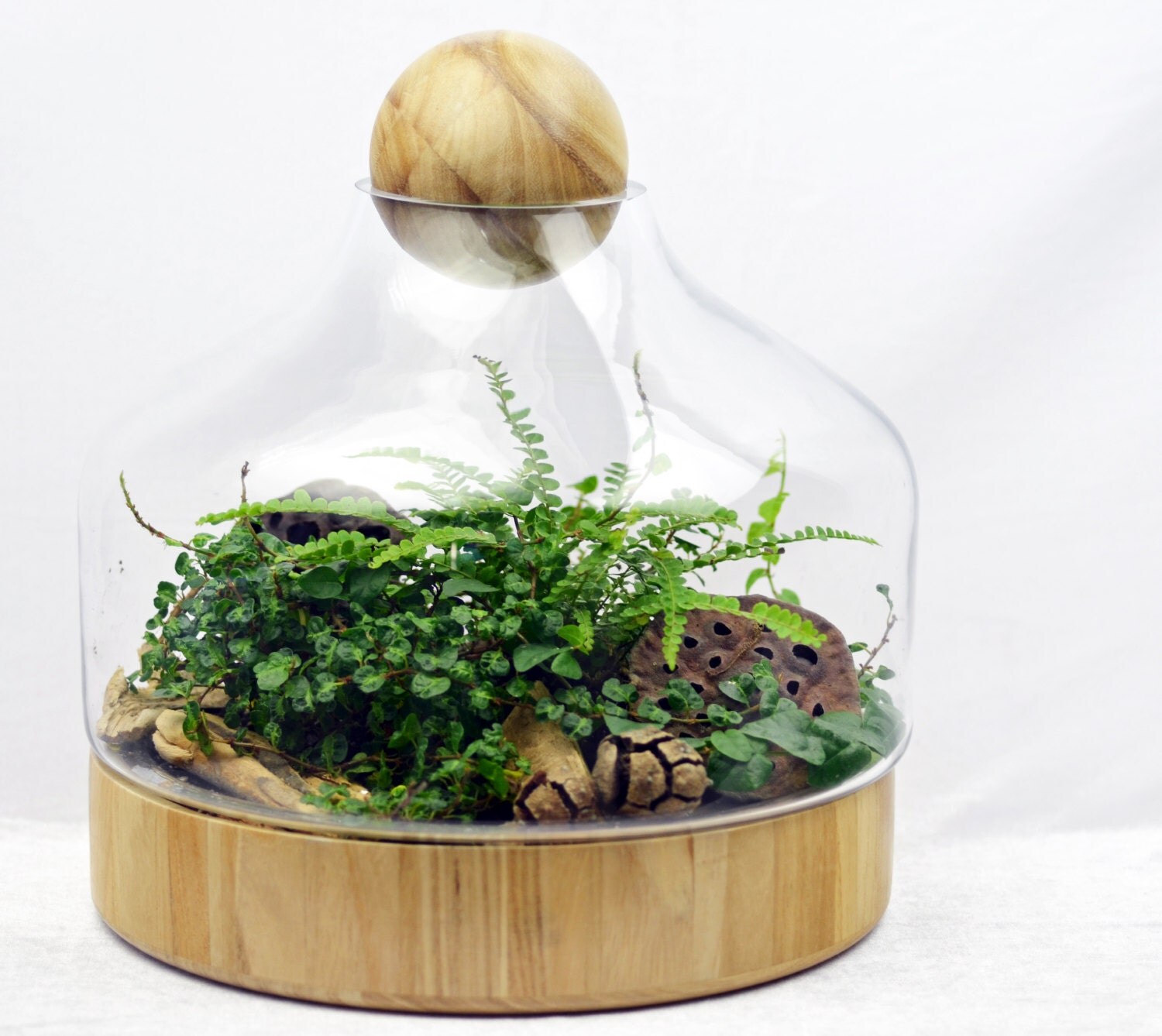 DIY Terrarium Woodland Terrarium Wooden Base by PinkSerissa