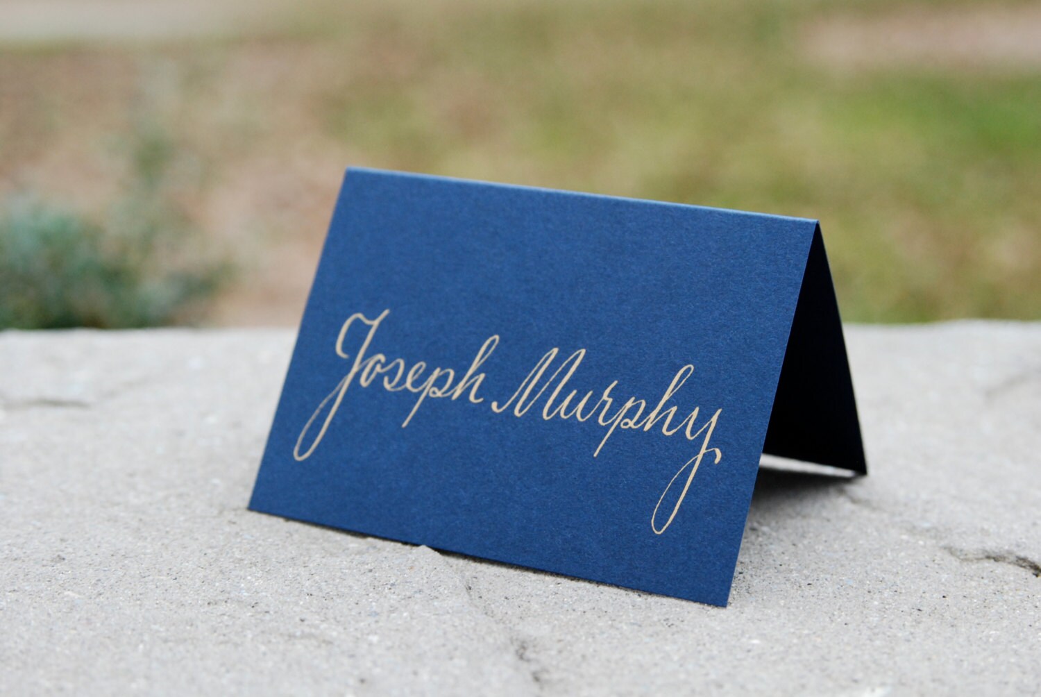 Wedding Table Name Cards Hand Calligraphy Escort Cards