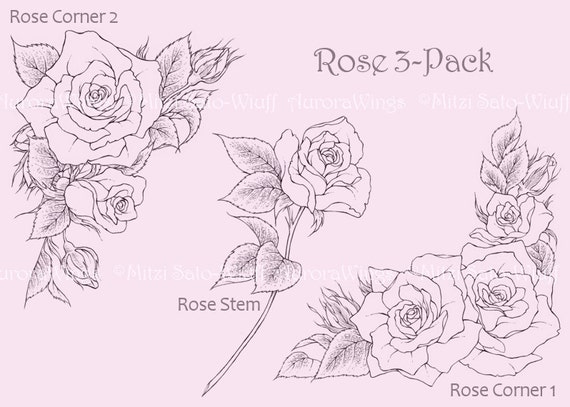 Digital Stamp - Roses 3 Pack  - digistamp - Instant Download - Corners and Stem - Floral Line Art for Cards & Crafts by Mitzi Sato-Wiuff