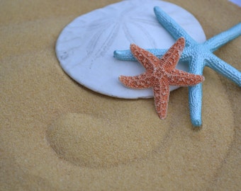 Beige Sand, Beach Decor, Craft Supply, Wedding Decor | 1/4 Cup