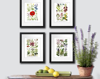 Gift for mom, Spring Wall Decor, Antique Botanical prints set of 4 Wild Flowers English Cottage Decorating Wall Art Prints
