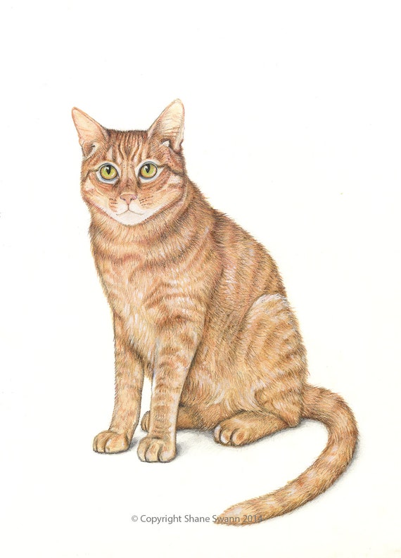 Items similar to Cat print - signed print - ginger cat - Cat drawing