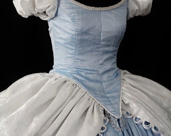 Adult Silk Cinderella Costume Custom Made