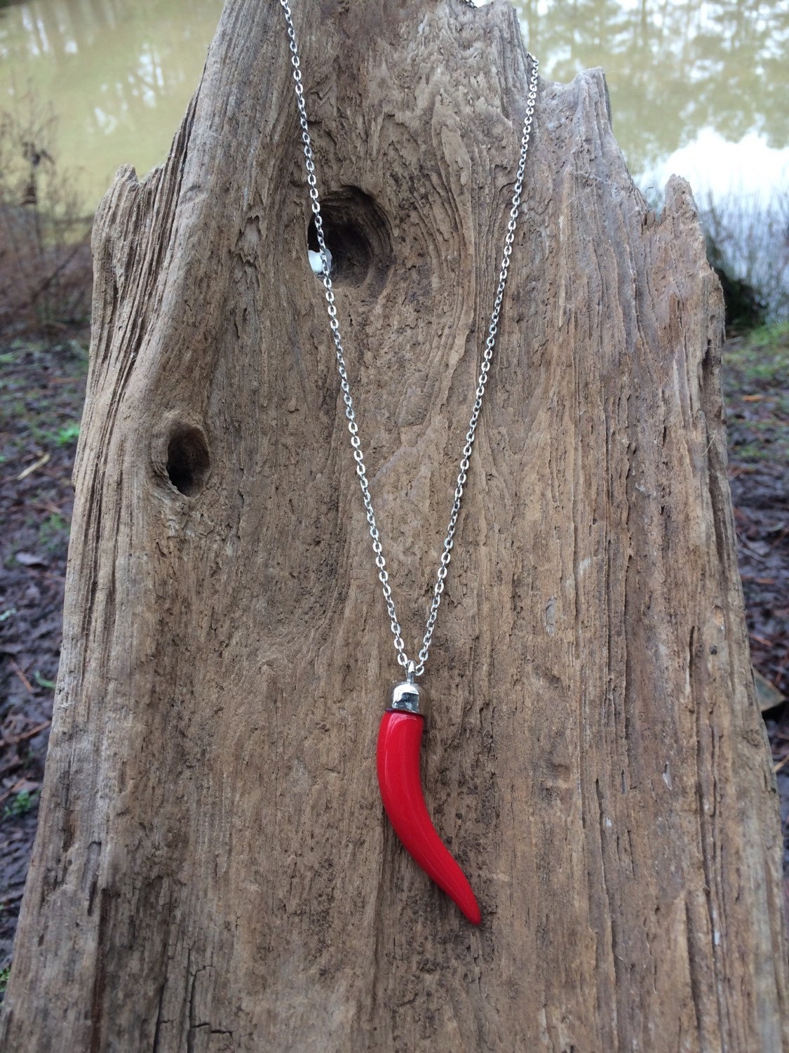Red Italian Horn Pendant On 24 Silver Chain