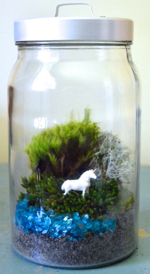 Unicorn Lake Terrarium Terrarium Kit Glass by TierraSolStudio