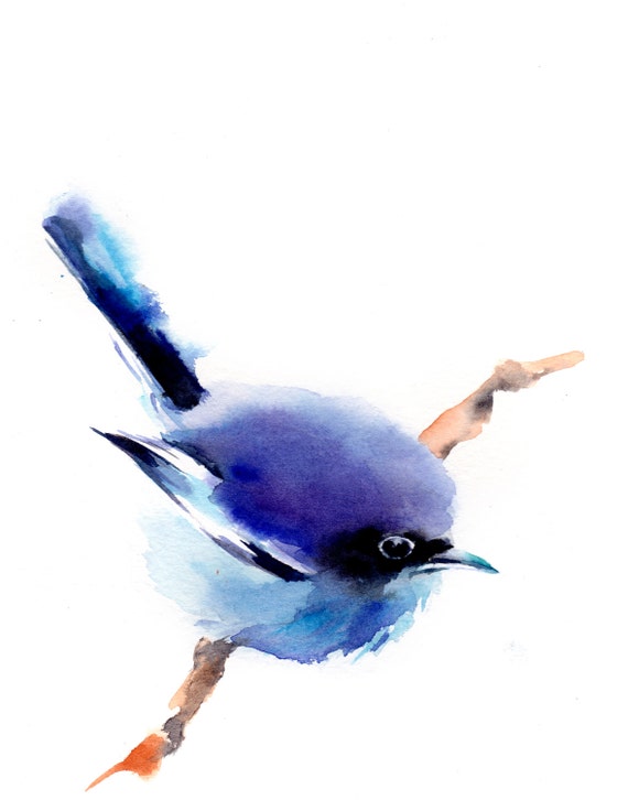 Watercolor Print Cute Blue Bird Watercolor By Canotstopprints