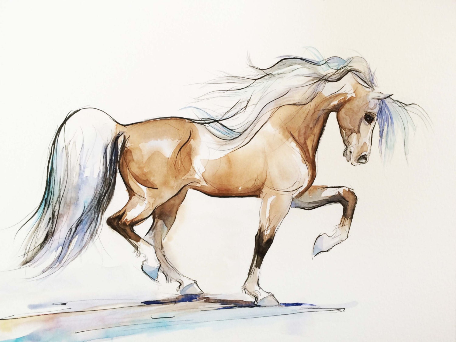 Watercolor Horse Art Watercolor Original Drawing Watercolor   Il Fullxfull.668352991 Awrn 