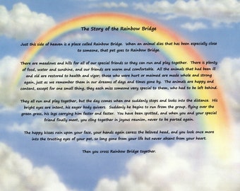 Pet Memorial-The Story of the Rainbow Bridge Poem-Rainbow-MALE-Paper ...