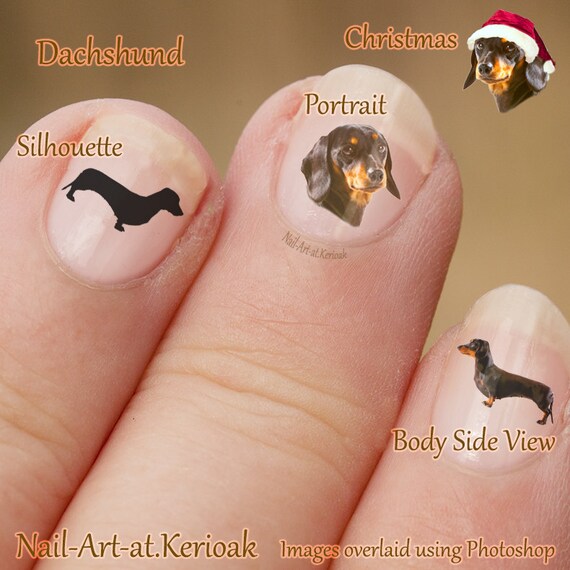 Dachshund Nail Art Dog Nail Art Stickers Profile by Kerioak