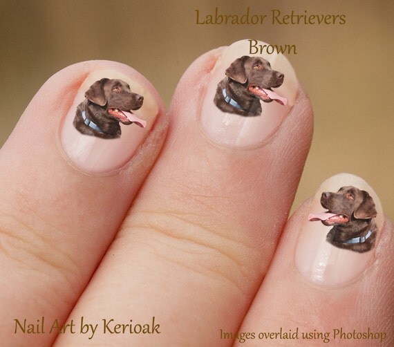 Brown Labrador Nail Art Stickers Chocolate Labrador Nail Art