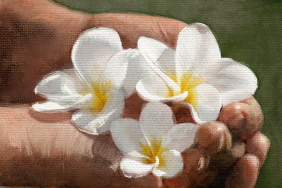 Beautiful Plumeria 5x7 Greeting Card (Blank inside)