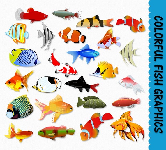Fish Clip Art Colorful Fish Clipart Graphics Scrapbook